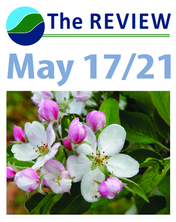 Blue Mountains Review - May 17th Edition
